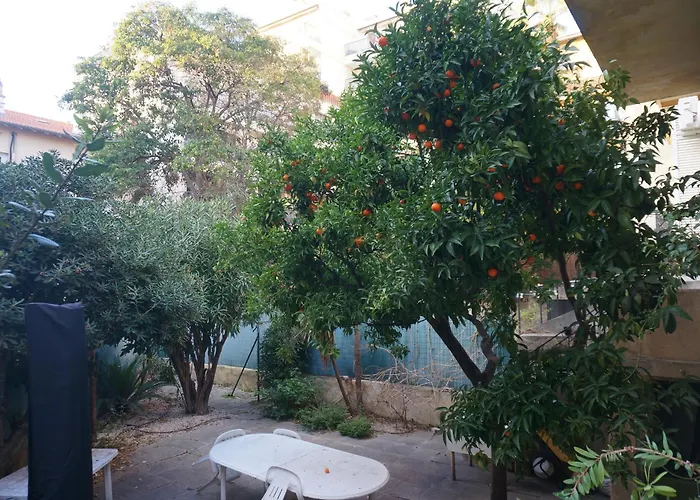 Grand De 30m2 !central !spacieux !different ! Cannes