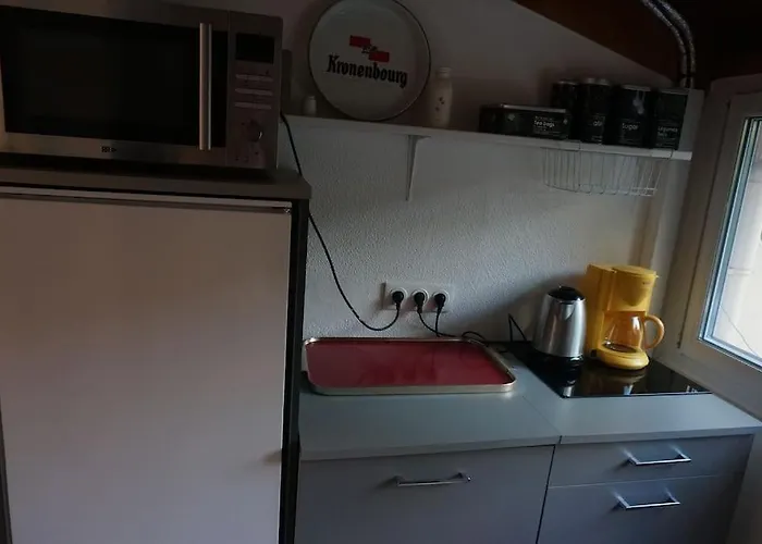 Grand De 30m2 !central !spacieux !different ! Apartment *
